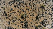 LX_GIFS climate change climate joshua tree lx GIF