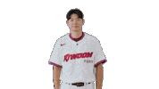 Kbo Sticker by Kiwoom Heroes Baseball Club
