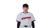 Kbo Sticker by Kiwoom Heroes Baseball Club