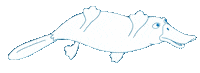 Platypus Sticker by Pod 7 kilo