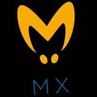 Mosca_Mx fashion moda shoes sneakers GIF