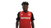 Bayer Leverkusen Sticker by Bundesliga