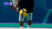 Power Vamos GIF by Volleyball World