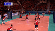 Power Wow GIF by Volleyball World