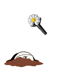 Gd Chanel Sticker