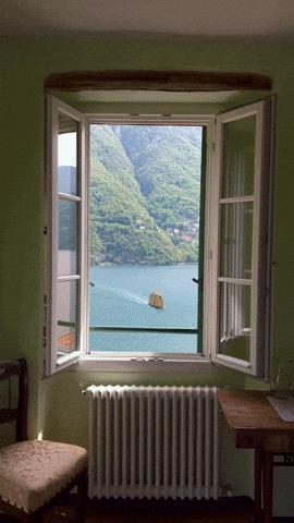 The_Berry giphyupload GIF