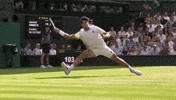 Carlos Alcaraz GIF by Wimbledon