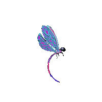 nennoilustracion volar alas insecto libelula Sticker