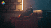 Kartal GIF by Show TV