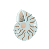 Summer Beach Sticker