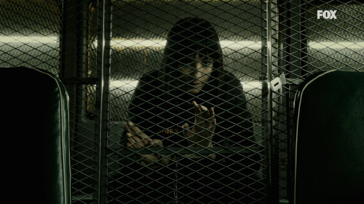 visavis zulema GIF