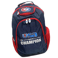 Usa Cheer Sticker by Varsity Spirit