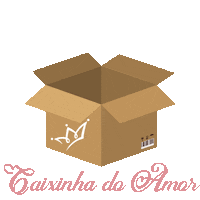 Caixa Caixinha Sticker by Caryoca Boutique