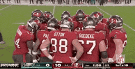 Tampa Bay Buccaneers Football GIF by NFL