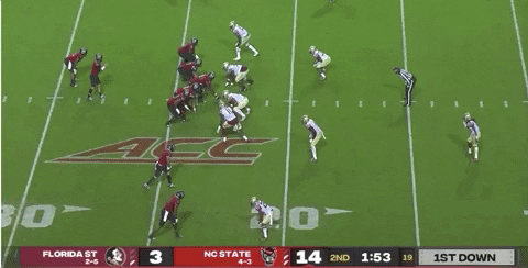 therealessad giphygifgrabber 2020 fsu ncstate GIF