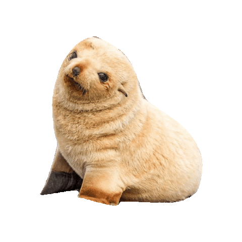 Sticker by erichamlet