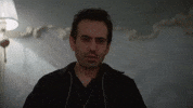 Bahar Evren GIF by Show TV