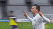Ligue 1 Celebration GIF by Olympique de Marseille