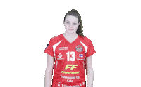 LP_Viesti lp viesti kayla haneline eveliina rautiainen veda mansikkaviita Sticker