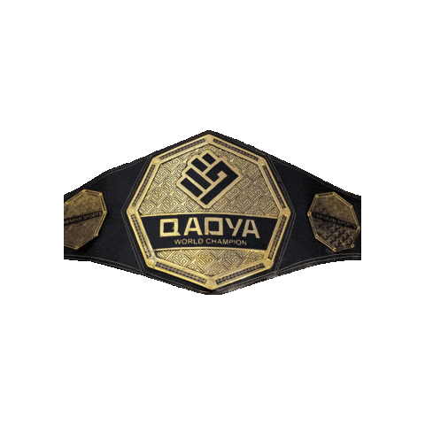 QadyaMMA giphyupload belt qadya mma belt Sticker