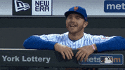 high five home run GIF by New York Mets