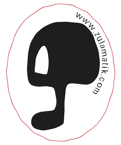 Zulamatik giphygifmaker zula zulamatik snownoard GIF