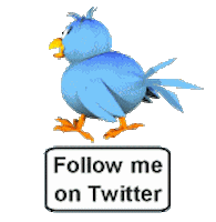 follow STICKER