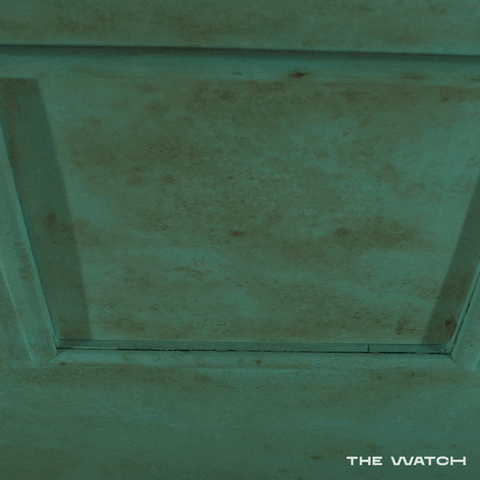 Bbc America Television GIF by The Watch