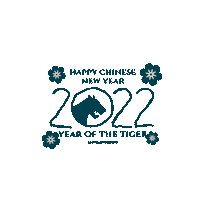 Happy New Year Festival Sticker by 360 Tour Toronto