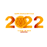 Happy New Year Festival Sticker by 360 Tour Toronto