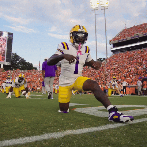 College Football Celebration GIF by LSU Tigers