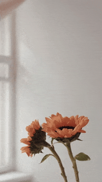 GIF by Raquel Israel