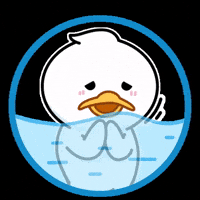 Crypto Cardano GIF by QUACKU