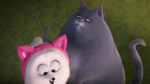 Stick It Falling GIF by The Secret Life Of Pets