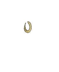 Benespiz fashion gold spark bling Sticker