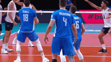 Celebrate American GIF by Volleyball World