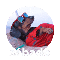 Sticker by Sealed With A GIF