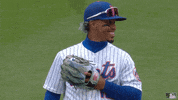 Ny Mets Baseball GIF by New York Mets
