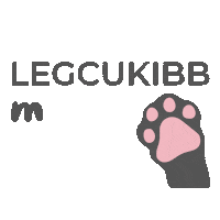 Kiskedvencekhu cica cuki macska macsek Sticker