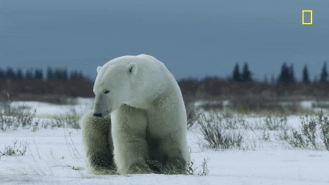 nat geo hostile planet GIF by National Geographic Channel