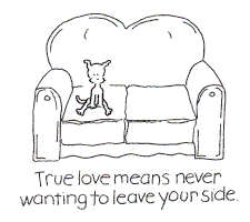 chippythedog chippythedog GIF