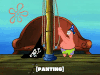 season 6 grandpappy the pirate GIF by SpongeBob SquarePants