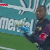 Al Ahli What GIF by The Arabian Gulf League