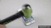 Che Che GIF