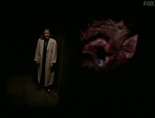 x files GIF by The X-Files