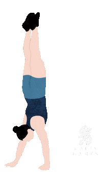 Fitness Community Sticker by Dear Workout