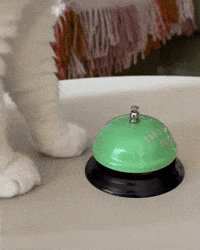 White Cat GIF