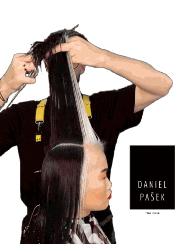 thetrim giphyupload hairdresser hairstylist thetrim Sticker