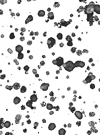 Winter Solstice Snow Sticker