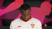 Look Up Vfb Stuttgart GIF by Bundesliga